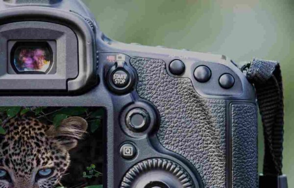 Blunden Hall Community Centre Gallery 0