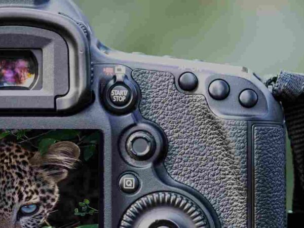 Photographers and Videographers Listing Category photographer 2